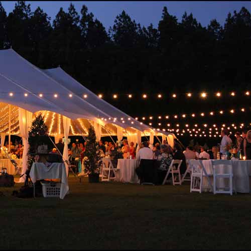 100' Small LED Canopy String Lights Rental